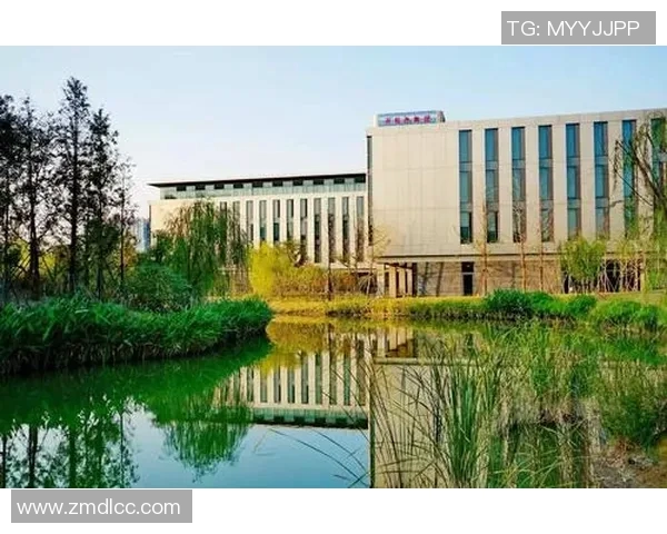 杭州极限运动队比赛经验分析与数据挖掘探讨 杭州极限运动队比赛经验分析与数据挖掘探讨