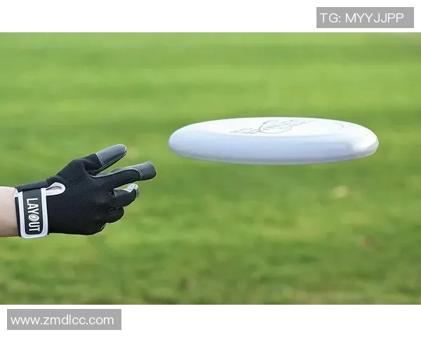 飞盘战术揭秘:深入分析北京飞盘队的包夹策略与团队协作 飞盘战术揭秘:深入分析北京飞盘队的包夹策略与团队协作