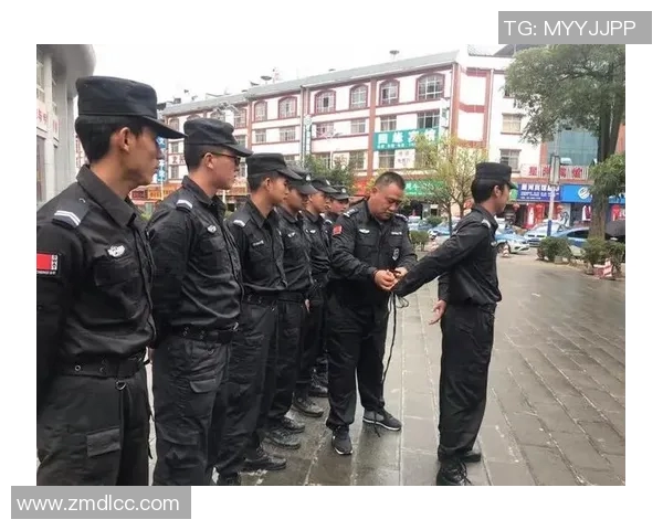 上海排球队包夹战术创新探索与实战应用分析