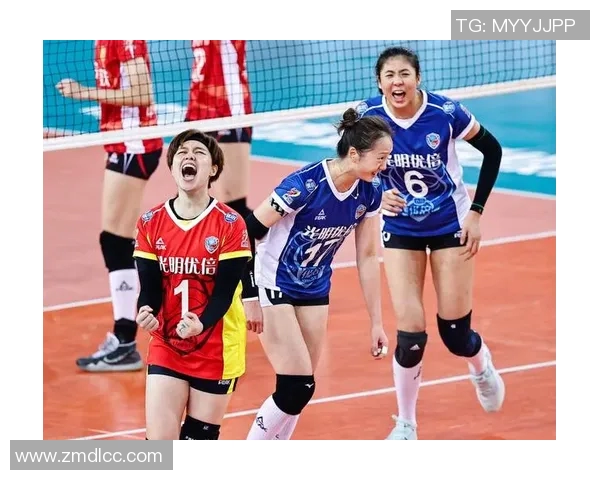 上海排球队在全国排球灵活性排行榜中荣获第九名的佳绩分析 上海排球队在全国排球灵活性排行榜中荣获第九名的佳绩分析