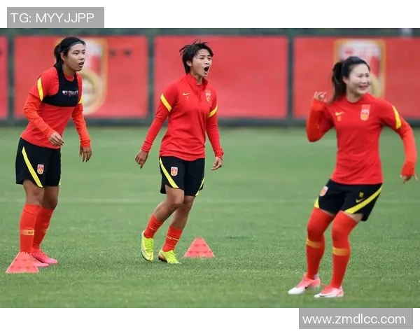 杨伟独家解读足球战术与技巧分享，助你提升球场表现与理解