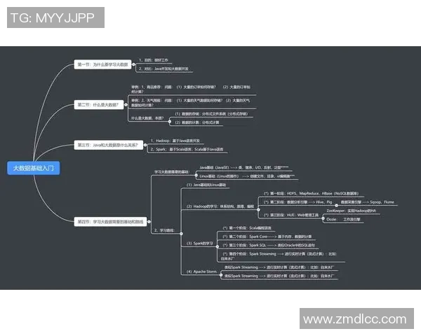 广州排球队团队协作表现的数据分析与提升策略探讨