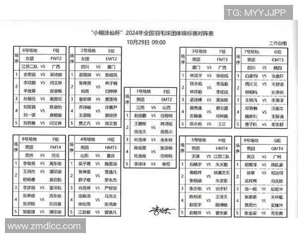 羽毛球的梦想与坚持：成都羽毛球队的奋斗与辉煌历程全记录