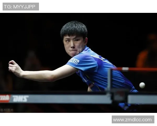 西安乒乓球队的节奏揭秘与训练背后的故事与精神探索