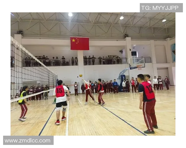 赛后分析：西安排球队与重庆排球队的战术意识与表现对比