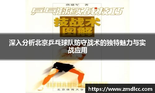 深入分析北京乒乓球队防守战术的独特魅力与实战应用