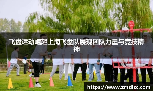 飞盘运动崛起上海飞盘队展现团队力量与竞技精神